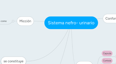 Mind Map: Sistema nefro- urinario