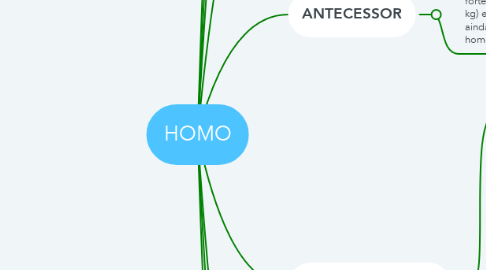 Mind Map: HOMO