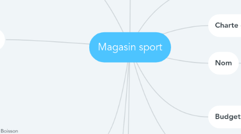 Mind Map: Magasin sport