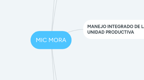 Mind Map: MIC MORA