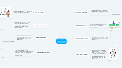 Mind Map: ESTRUCTURA ORGANIZAICONAL DE LA EMPRESA