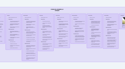 Mind Map: ETAPAS DEL DESARROLLO HUMANO