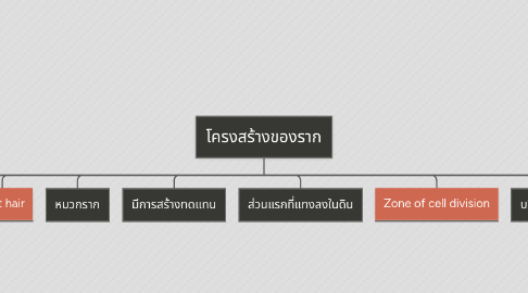 Mind Map: โครงสร้างของราก