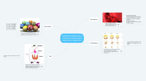 Mind Map: EXÁMENES PARACLÍNICO Conjunto de pruebas para determinar un diagnostico