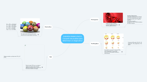 Mind Map: EXÁMEN PARACLÍNICO Conjunto de pruebas para determinar un diagnostico