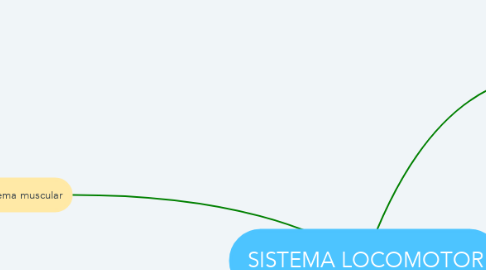 Mind Map: SISTEMA LOCOMOTOR