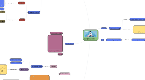 Mind Map: EL METABOLISMO