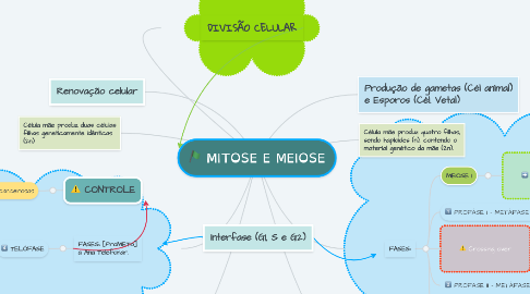 Mind Map: MITOSE E MEIOSE