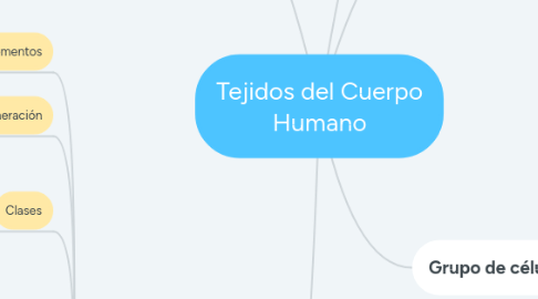 Mind Map: Tejidos del Cuerpo Humano