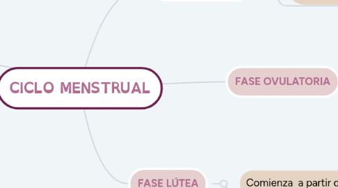 Mind Map: CICLO MENSTRUAL