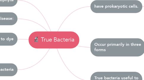 Mind Map: True Bacteria