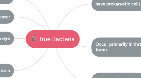 Mind Map: True Bacteria