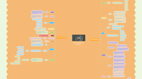 Mind Map: Áreas estudio de la psicología