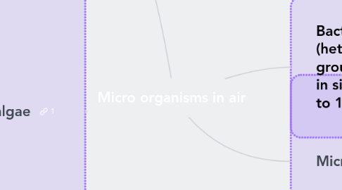 Mind Map: Micro organisms in air