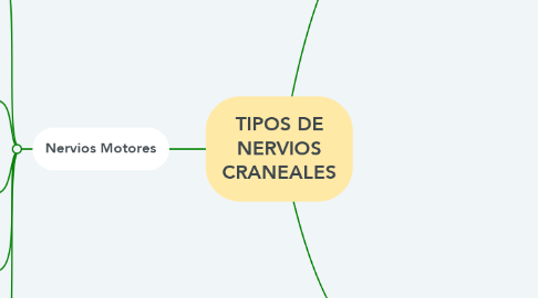 Mind Map: TIPOS DE NERVIOS CRANEALES