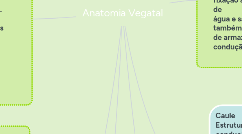 Mind Map: Anatomia Vegatal