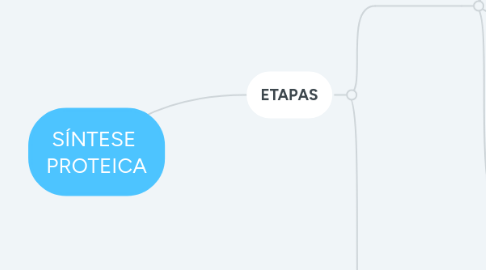 Mind Map: SÍNTESE PROTEICA