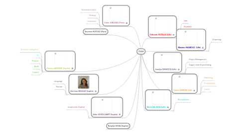 Mind Map: TEAM