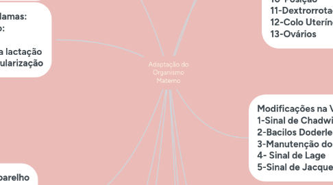 Mind Map: Adaptação do Organismo Materno