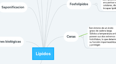 Mind Map: Lipidos