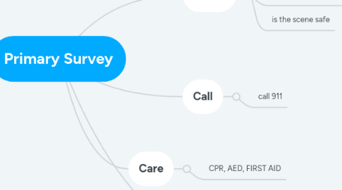 Mind Map: Primary Survey