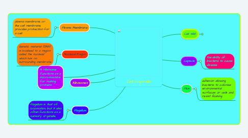 Mind Map: Cell organelle