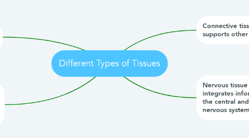Mind Map: Different Types of Tissues