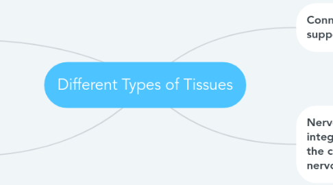 Mind Map: Different Types of Tissues