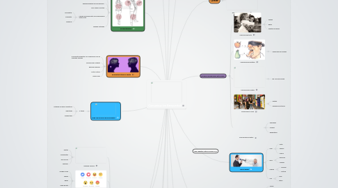 Mind Map: Comunicación Extraverbal