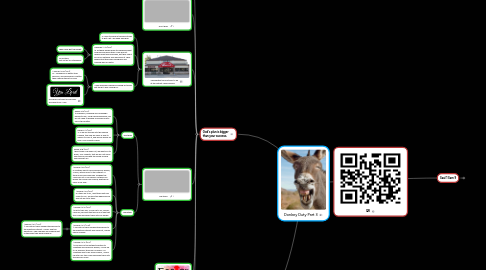 Mind Map: Donkey Duty Part 3