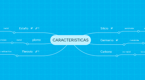 Mind Map: CARACTERISTICAS