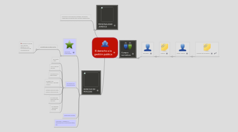 Mind Map: El derecho a la gestión publica