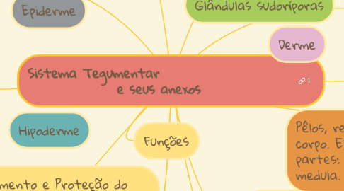 Mind Map: Sistema Tegumentar                        e seus anexos