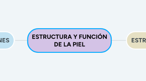 Mind Map: ESTRUCTURA Y FUNCIÓN DE LA PIEL