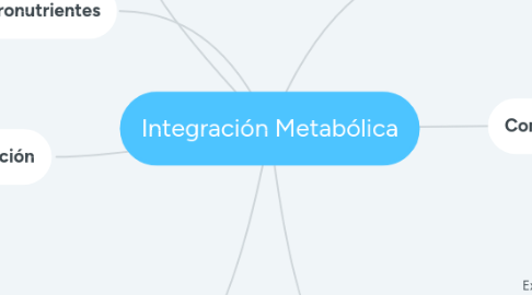 Mind Map: Integración Metabólica