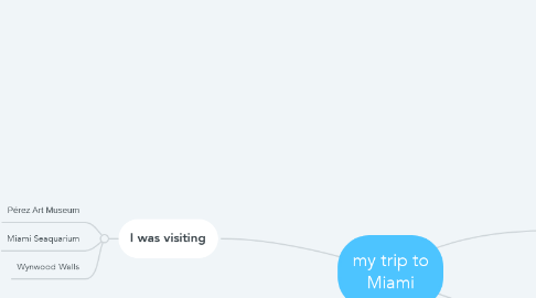 Mind Map: my trip to Miami