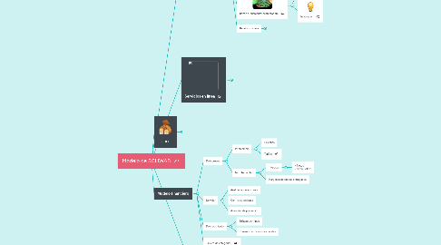 Mind Map: Modelo de SCHWAB