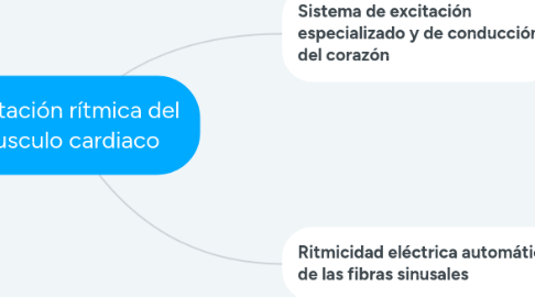 Mind Map: Excitación rítmica del musculo cardiaco