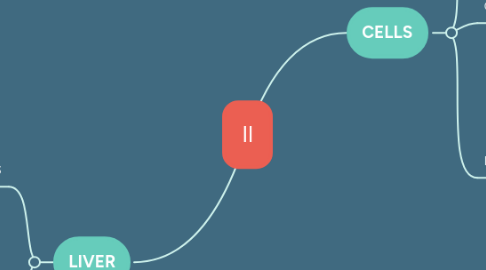 Mind Map: Il