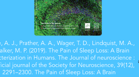 Mind Map: Krause, A. J., Prather, A. A., Wager, T. D., Lindquist, M. A., & Walker, M. P. (2019). The Pain of Sleep Loss: A Brain Characterization in Humans. The Journal of neuroscience : the official journal of the Society for Neuroscience, 39(12), 2291–2300. The Pain of Sleep Loss: A Brain Characterization in Humans