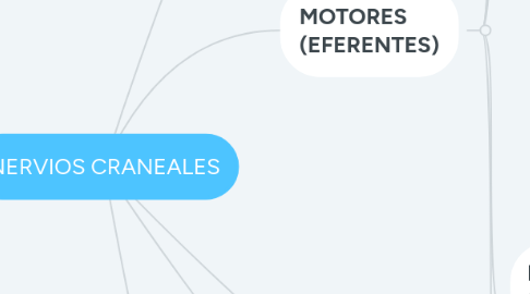 Mind Map: NERVIOS CRANEALES