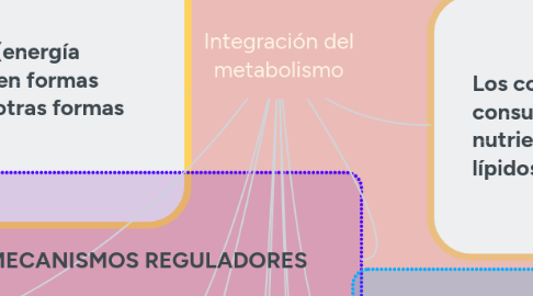 Mind Map: Integración del metabolismo