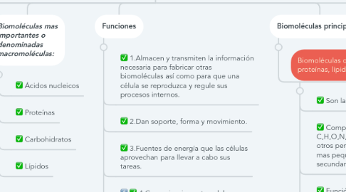 Mind Map: Biomoléculas