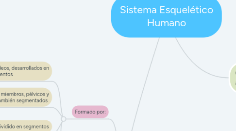 Mind Map: Sistema Esquelético Humano