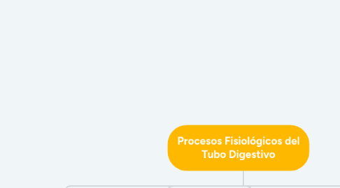 Mind Map: Procesos Fisiológicos del Tubo Digestivo