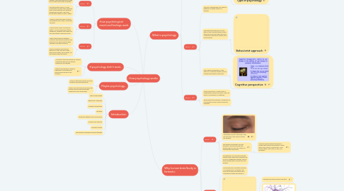 Mind Map: How psychology works