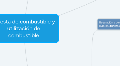Mind Map: Ingesta de combustible y utilización de combustible
