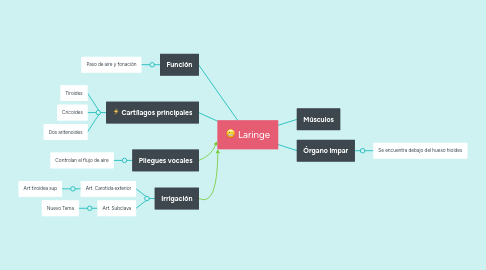 Mind Map: Laringe