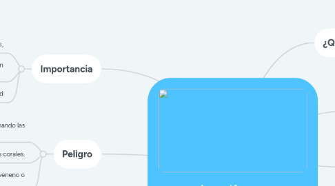 Mind Map: Arrecifes de corales