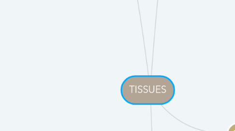Mind Map: TISSUES